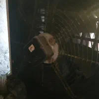 هیتر گازی فندار آذر تهویه مدل 650A|بخاری، هیتر، شومینه|کرج, حصارک بالا|دیوار