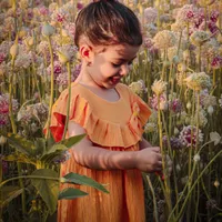 عکاسی فضای باز|خدمات پذیرایی، مراسم|اصفهان, قهجاورستان|دیوار