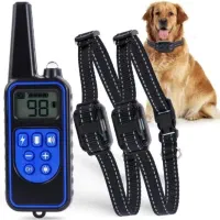 لوازم جانبی حیوانات|لوازم جانبی حیوانات|تهران, جوانمردان (اندیشه)|دیوار