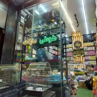 قفس دان اسباب بازی لوازم پرندگان پت شاپ طوطی مارکت