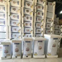 آبگرمکن برقی و گازی ورق ذخیم از ۱۵ تا ۷۰با گارانتی
