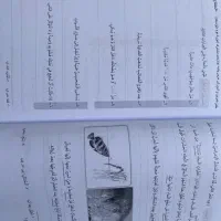آموزش عربی نو|کتاب و مجله آموزشی|رشت, معلم|دیوار