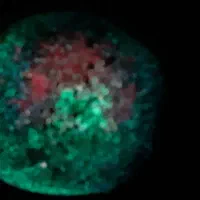 شهاب سنگ زیبا