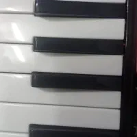 ملودیکا|سازهای بادی|ملارد, |دیوار