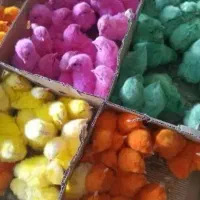 جوجه رنگی  فقط۹تومان