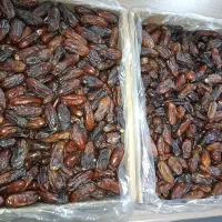 فروش خرما با تخفیف ‌، زیرقیمت بازار... خرمای ربی|عمده‌فروشی|فیروزکوه, |دیوار