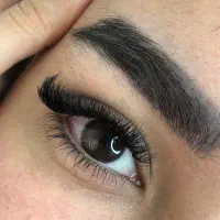 تمام اکستنشن ها ۶۰۰