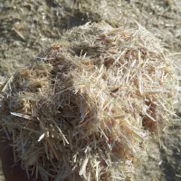 کاه درجه یک نرم