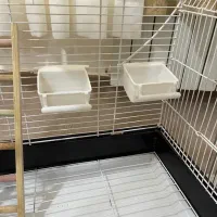 قفس پرنده طوطی مرغ عشق دوعدد|لوازم جانبی حیوانات|سیرجان, |دیوار