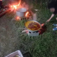 رب آلوچه ترش جنگلی