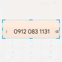 9120831131