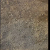 زمین۲۴۰متر