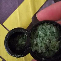 غذا با کیفیت ماهی آکواریوم|ماهی|بابل, |دیوار