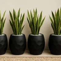 گلدون فایبرگلاس