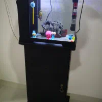 آکواریوم دلسا - اکواریوم با فیلتر کامل