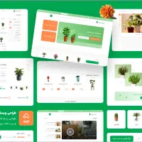 طراحی سایت اختصاصی و برنامه نویسی، سئو حرفه‌ای