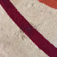 فرش ۶ متری|فرش|شیراز, دکتر حسابی|دیوار