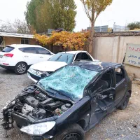 پژو 206|خودرو سواری و وانت|کرج, شهر صنعتی|دیوار