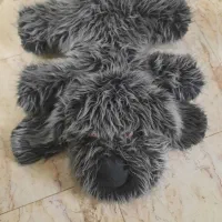 تعدادی وسیله|کیف، کفش، کمربند|اصفهان, بوستان ناژوان|دیوار