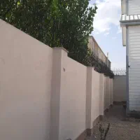 شاخ گوزنی اقساط ۶ ماهه|مصالح و تجهیزات ساختمان|شیرگاه, |دیوار
