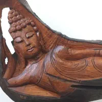 مجسمه دلفین و اسب چوبی