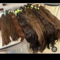 خریدار اصلی وصادر کنند مو بدون واسطه ودلال