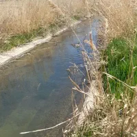 باغ روستای دربند بهر اب