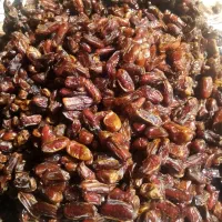 فروش ثمر نخل ولیمو