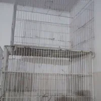 قفس|لوازم جانبی حیوانات|مشهد, ایثار|دیوار