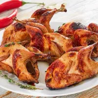 بلدرچین