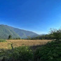 فروش زمین چسبیده به بافت افراتخته کوچه راهدارخانه|فروش زمین و ملک کلنگی|علیآباد کتول, |دیوار