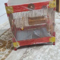 قفس