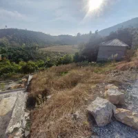 زمین-فروشی-قابل-به-ساخت-جنگلی