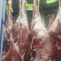 ران گوسفندی شیشک (کالابرگ)