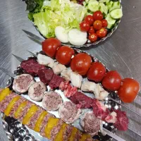 نیروی کار خانم برای کبابی داخل آشپز خونه