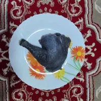 تخم مرغ نطفه دار و گوشت ایام سمانی|حیوانات مزرعه|تربت جام, پاسداران|دیوار