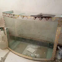 آکواریوم شیشه خم
