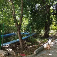 باغ-8000-متر-دماوند-جابان