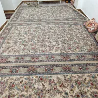پنج عدد فرش 2/3بخاطر نیاز مالی می فروشم|فرش|مهاباد (آذربایجان غربی), |دیوار