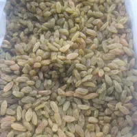 فروش ویژه کشمش درجه یک