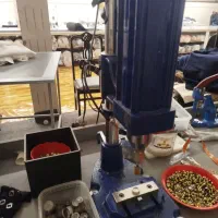 استخدام فوری کارگاه خیاطی دکمه زن