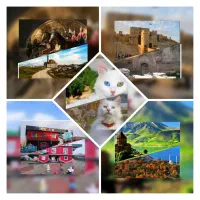 تور گروهی و شاد وان ترکیه