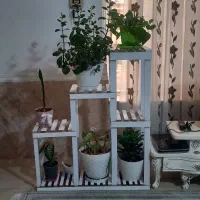 استند