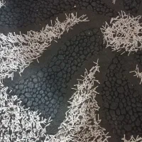 فروش فرش|فرش|بندر ماهشهر, |دیوار