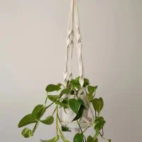 آویز گلدان مکدومه