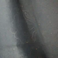 موکت ۱۲متری گل برجسته نو رنگ ابی