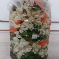 شور خانگی تازه|خوردنی و آشامیدنی|تهران, طرشت|دیوار