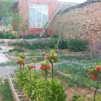 فروش منزل قدیمی در فریدونشهر  روستای صادقیه