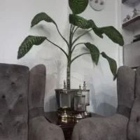 سویت ۴۰ متری، بدون خواب، مرتب