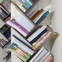 دو عدد کتابخانه درختی دیواری
